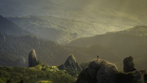 Natural healing and recovery process