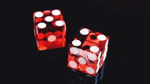 Dice representing the counting and combinatorial side of number theory