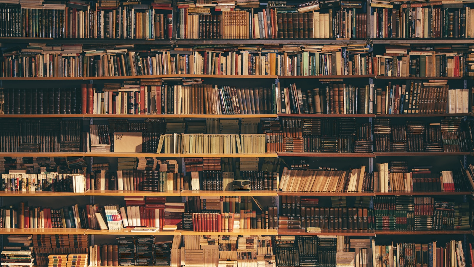 Bookshelves filled with knowledge, representing the accumulated legacy of mathematics